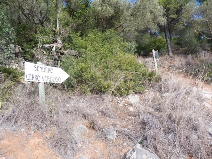 Apartamento Rural Prado Del Rey Daire Dış mekan fotoğraf